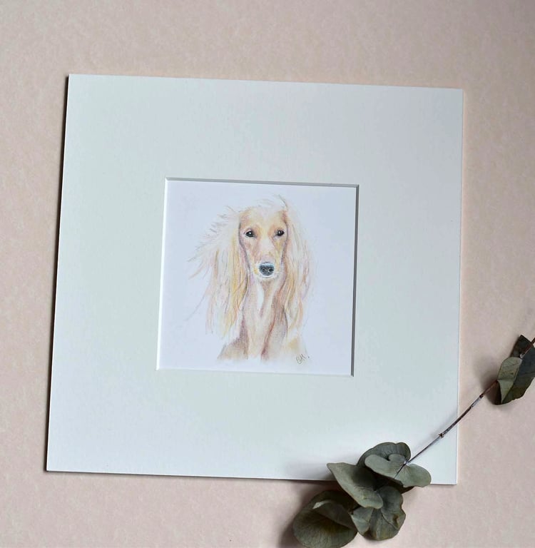 Hand Drawn Pet Portrait - Saluki Dog - Original Artwork