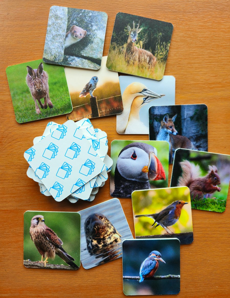 UK Wildlife Memory Card Game