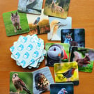 UK Wildlife Memory Card Game
