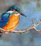 Giclee print of 'The Fisher King' - a kingfisher painting by artist Janet Bird - Image 1