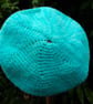 Handmade beret with ethical wool from rescued sheep - Image 2