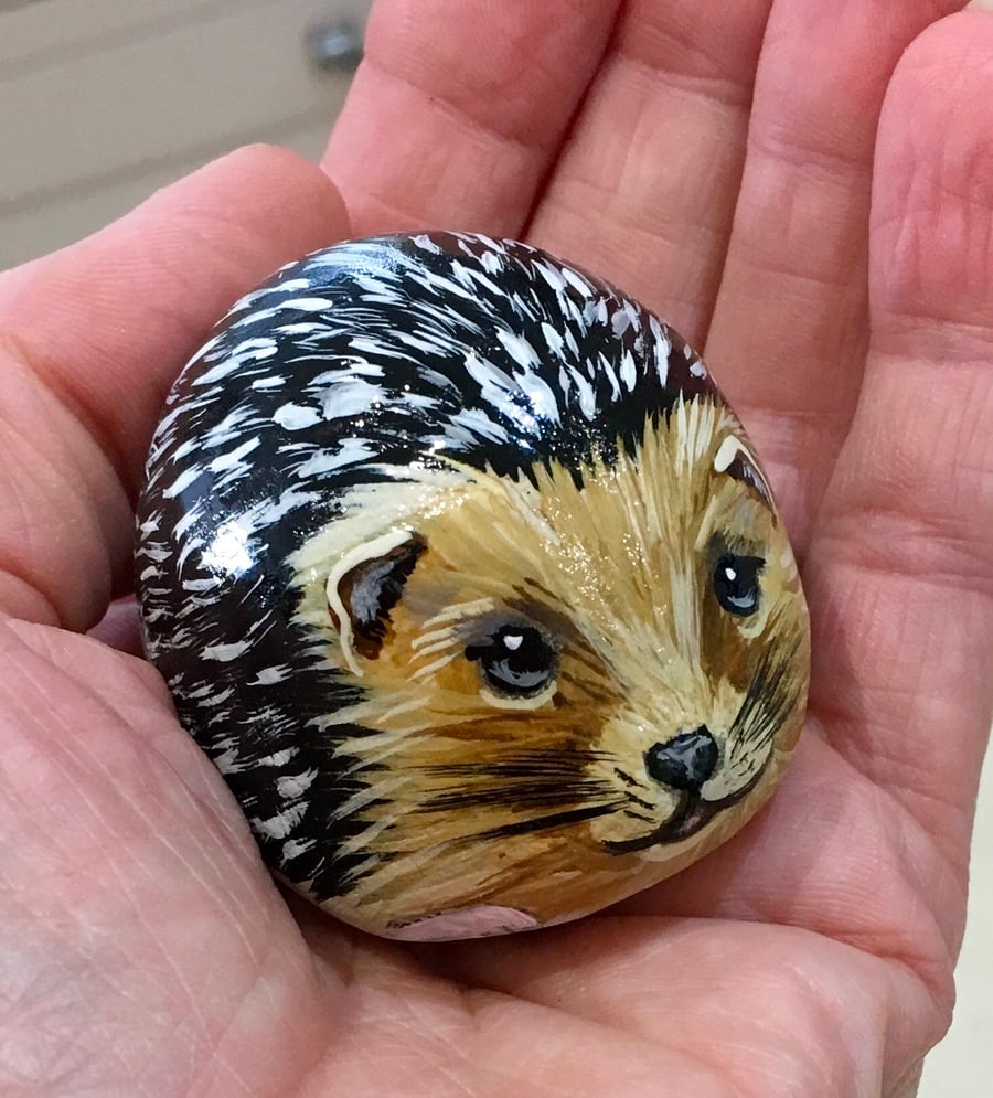 Hedgehog painted pebble garden rock art wildlife portrait stone 