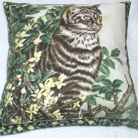 Beautiful young Scottish Wildcat up in a tree cushion