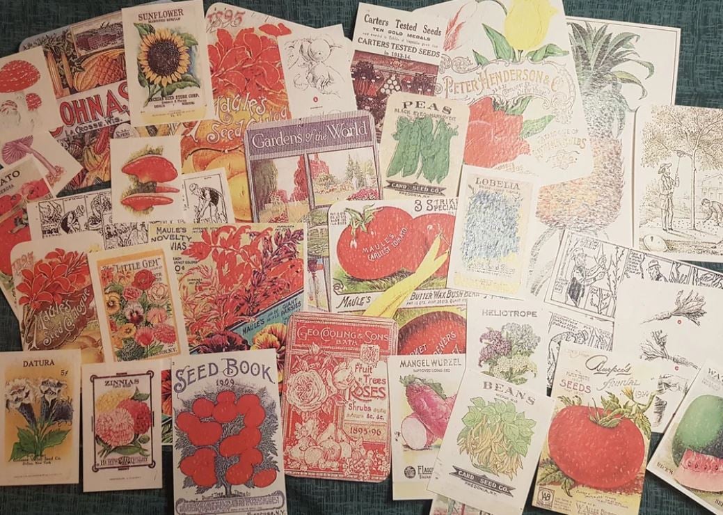 Vintage Garden Ephemera Paper Pack, Scrapbooking Journal Kit