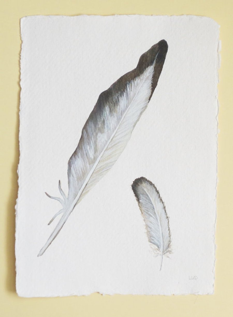 Original watercolour illustration of a grey feather