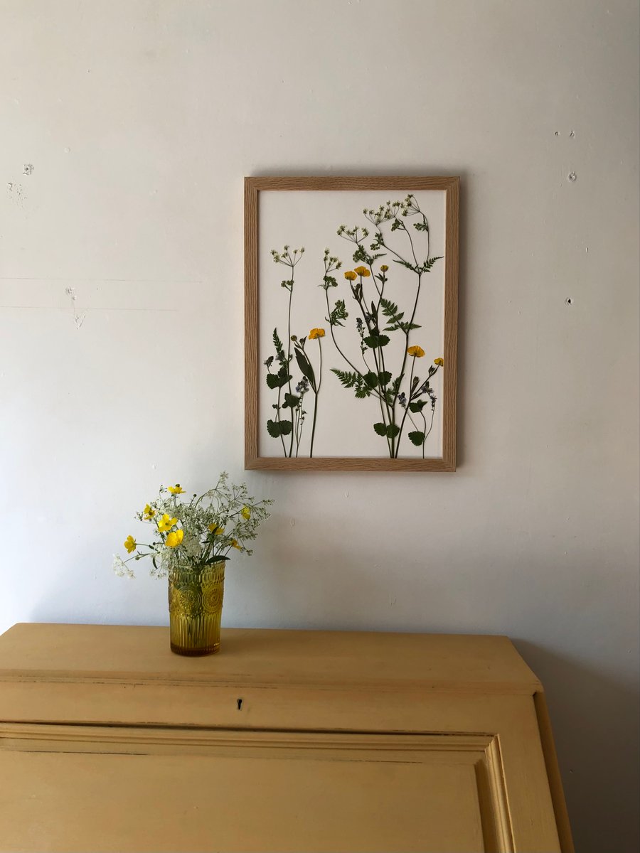 May wildflowers, pressed, framed in oak - A3
