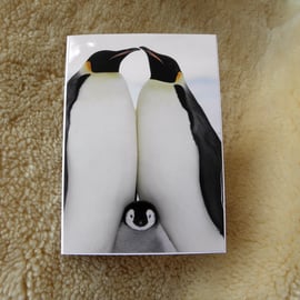 Proud Parent Penguin New Baby Christening Blank Greeting Card