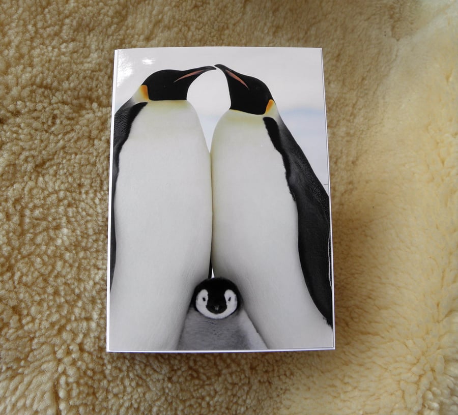 Proud Parent Penguin New Baby Christening Blank Greeting Card
