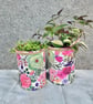 English cottage garden grow your own herb gift set  - Image 3