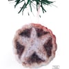 Needle felted Mince Pie Hanging decoration by Lily Lily Handmade 