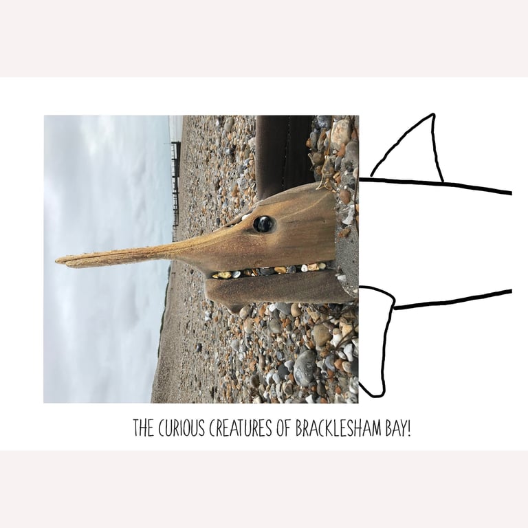 The Curious Creatures of Bracklesham Bay! The Shark