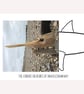 The Curious Creatures of Bracklesham Bay! The Shark A4 glossy photo, unframed