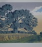 Into the gathering dusk - Image 1
