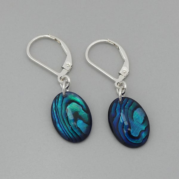 Abalone shell earrings with sterling silver hin... - Folksy