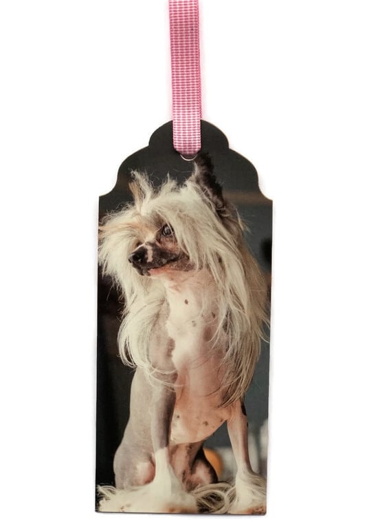 Chinese Crested Dog Bookmark: Handmade Ribbon Marker, Dog Lover Gift