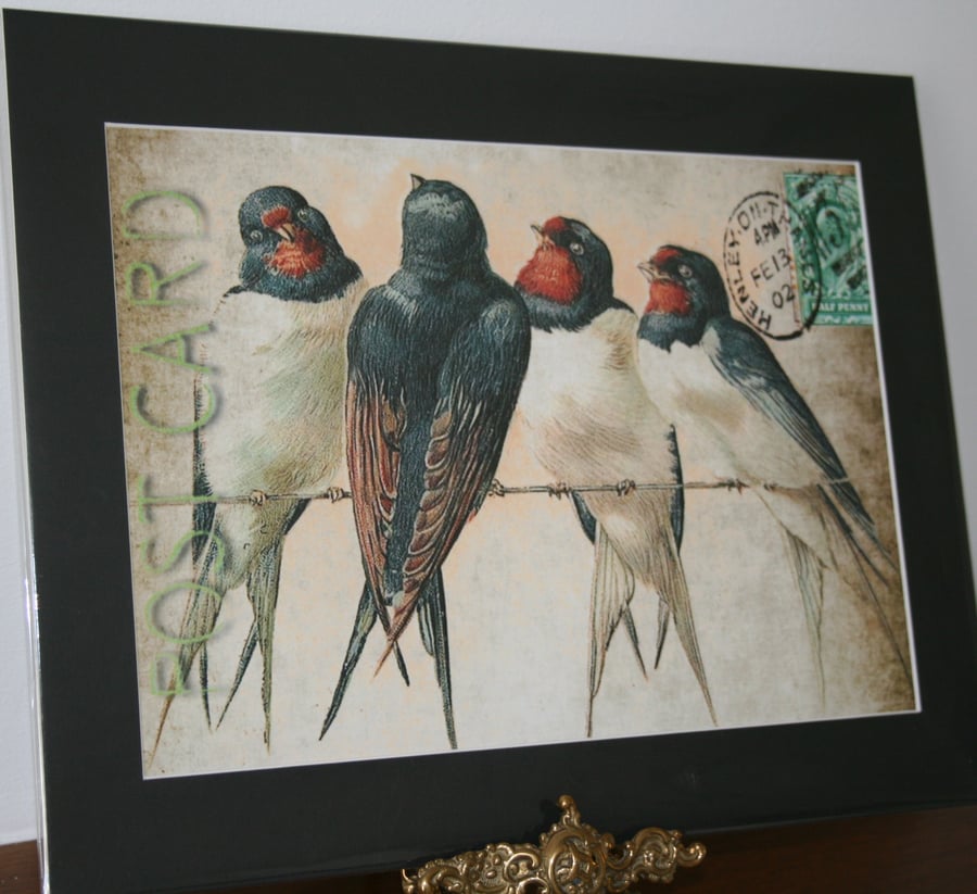  Print Swallows on a line Henley postmark - colour