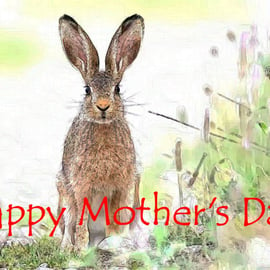 Mother's Day Card Hare Spring  