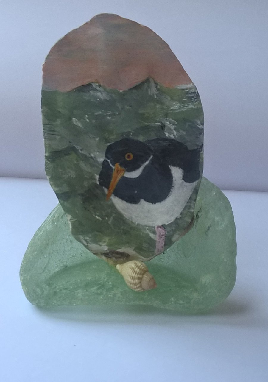 oyster catcher painted shell