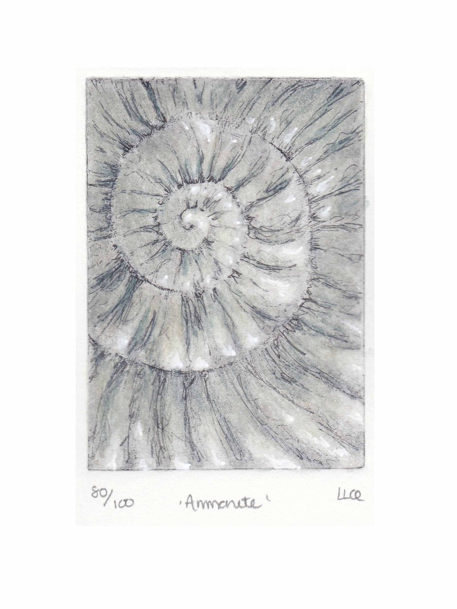 Etching no.80 of an ammonite fossil with mixed media in an edition of 100