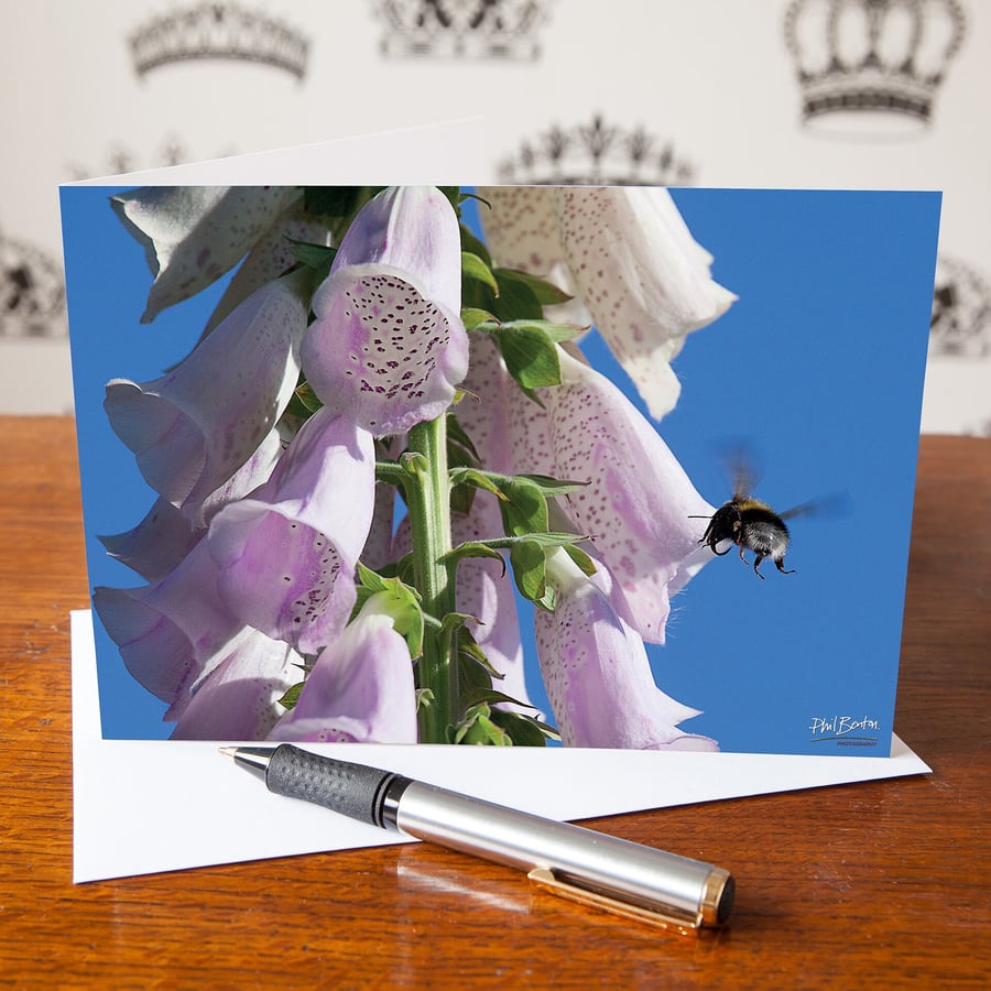 Flight To The Foxglove, Bee Greetings Card - Blank Inside - Birthday Card - Moth