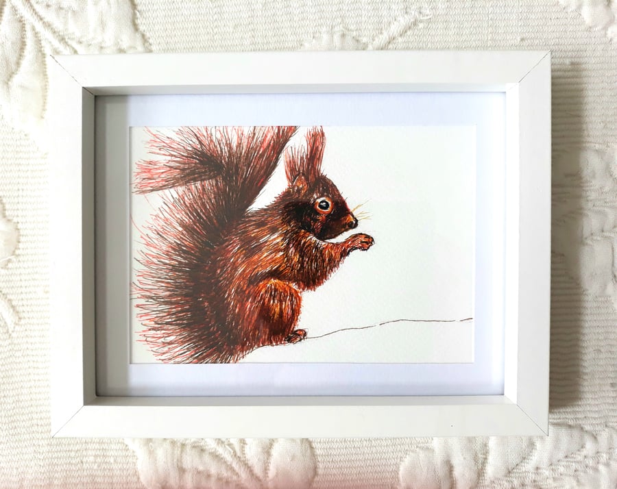 Red Squirrel Painting, Framed 9" x 7" Wildlife Art, Original Watercolour