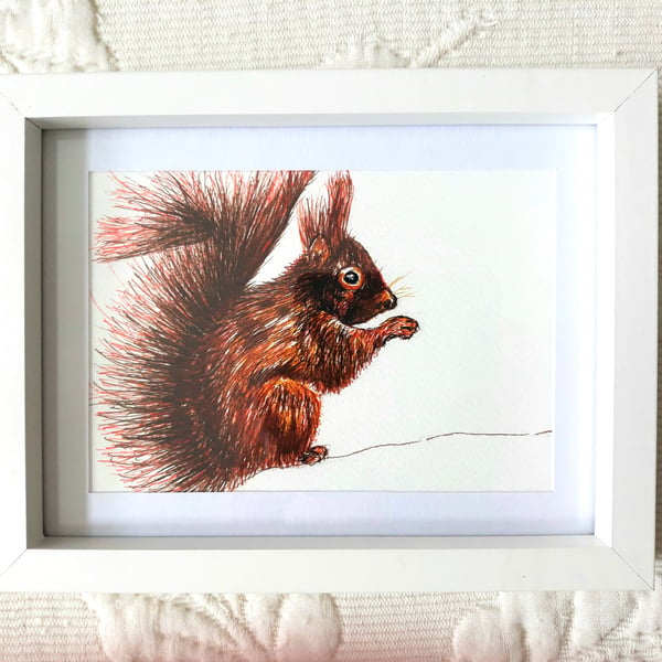 Red Squirrel Painting, Framed 9" x 7" Wildlife Art, Original Watercolour