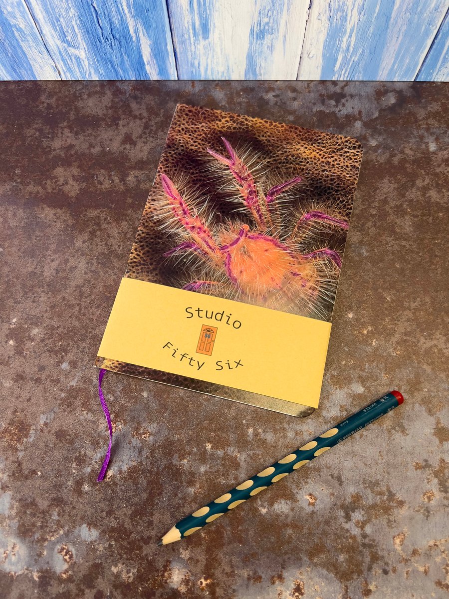 Notebook, Marine themed, A5 (ish), made from up-cycled and recycled materials.