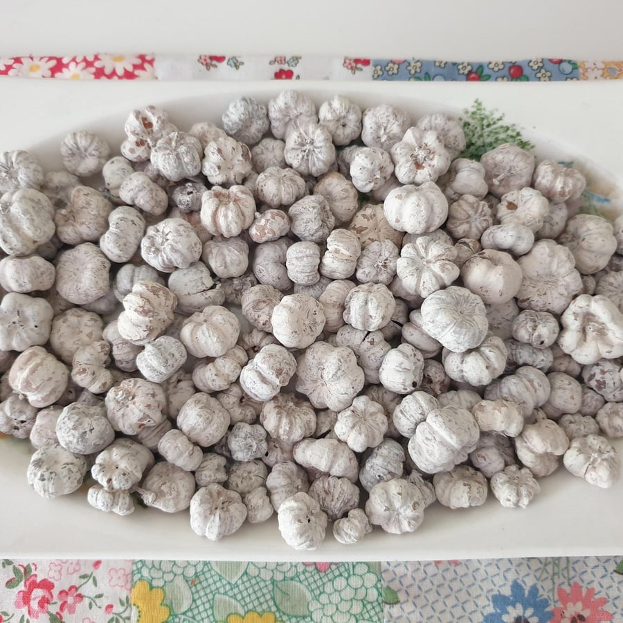 White Dried Baby Pumpkin Potpourri Decoration