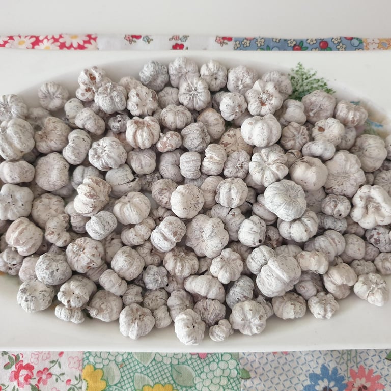 White Dried Baby Pumpkin Potpourri Decoration