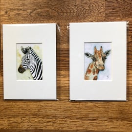 2 Mounted prints of miniature watercolours - FREE UK POST
