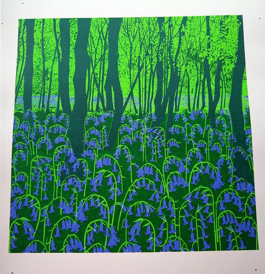 'Bluebell Wood', original hand-pulled screen print TEST PRINT
