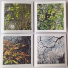 Four Seasons blank greeting card pack of 4