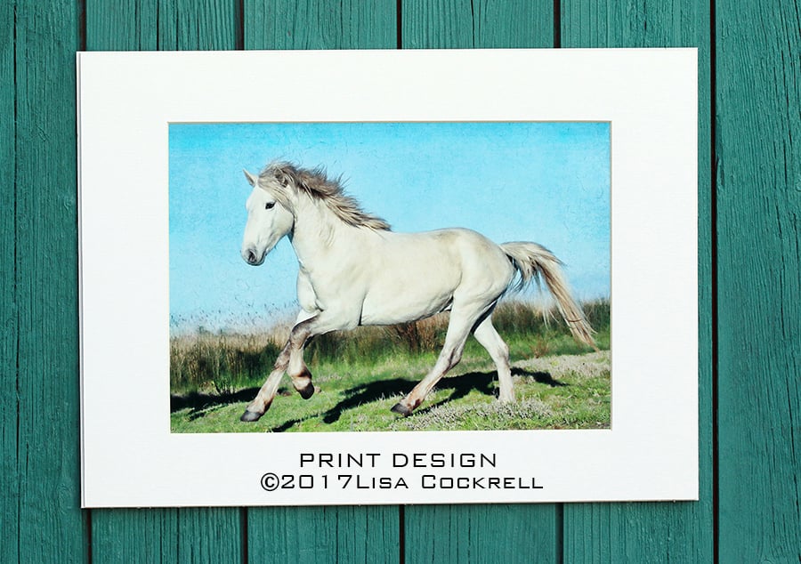 CAMARGUE STALLION PRINT (A4 approx) MOUNTED FOR 40 X 30 CM FRAME