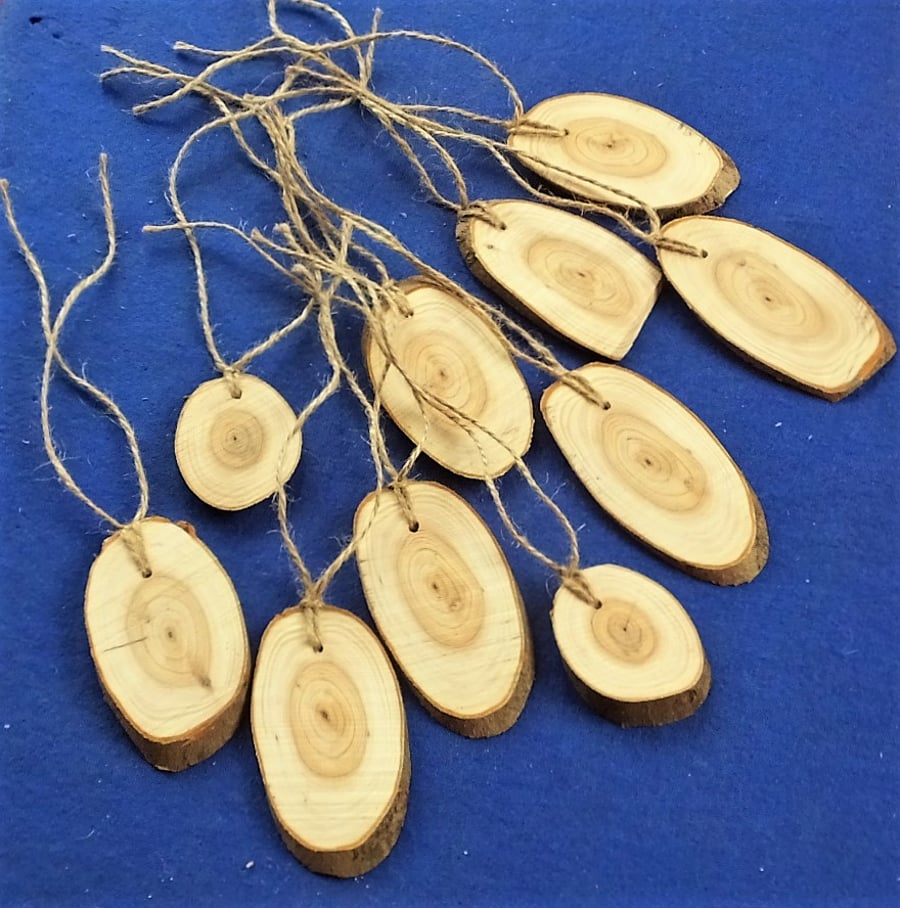 10 sliced tree branch gift tags labels Christmas birthday wedding presents