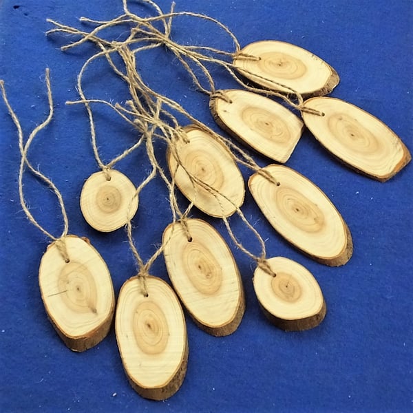 10 sliced tree branch gift tags labels Christmas birthday wedding presents