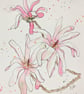 Magnolia Stellata, framed original watercolour painting  - Image 2