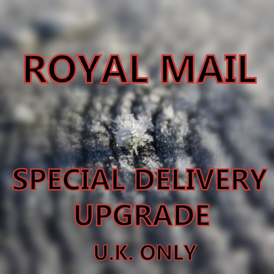 UK Special Delivery postage upgrade , next day by 1 pm valid until 21 Dec