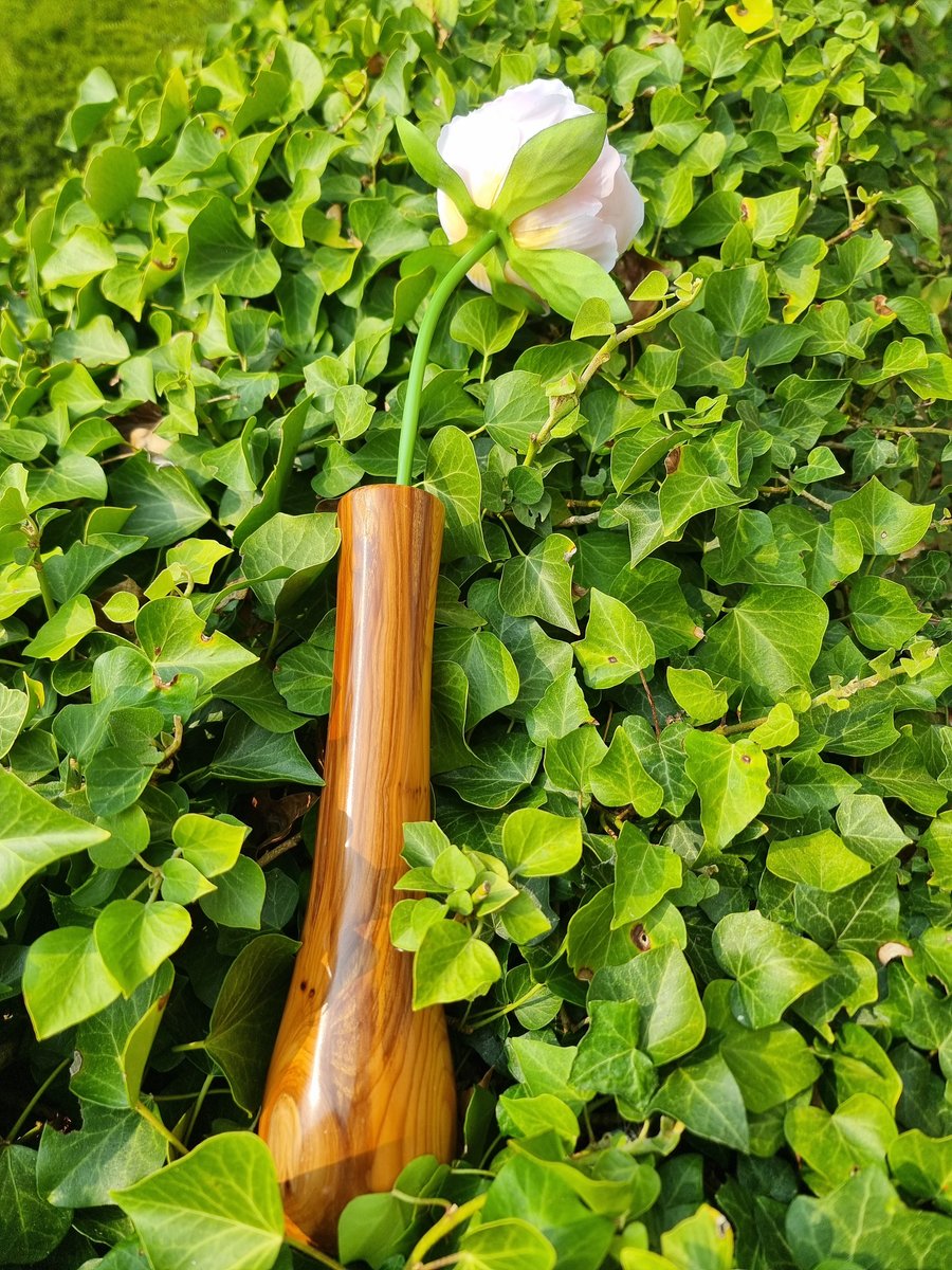 Bud Vase made from Yew Wood