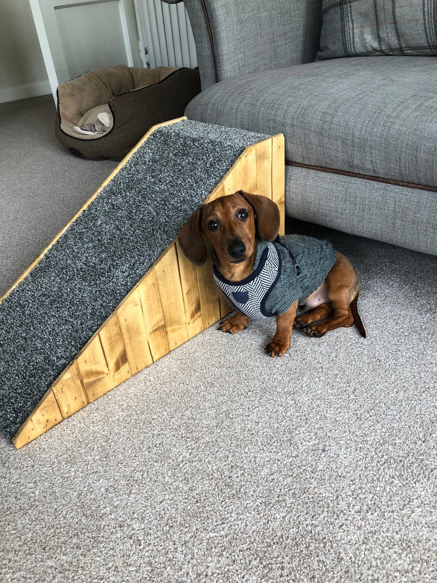 32cms H. x 65cm L. Doggy Ramp Natural Wood Sides with New Luxury Two Tone Grey C