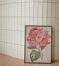 Pink Rose Watercolour Art Print – Limited Edition A4 Floral Wall Art - Image 2