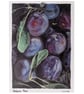 Oil painting mini print  - Image 3