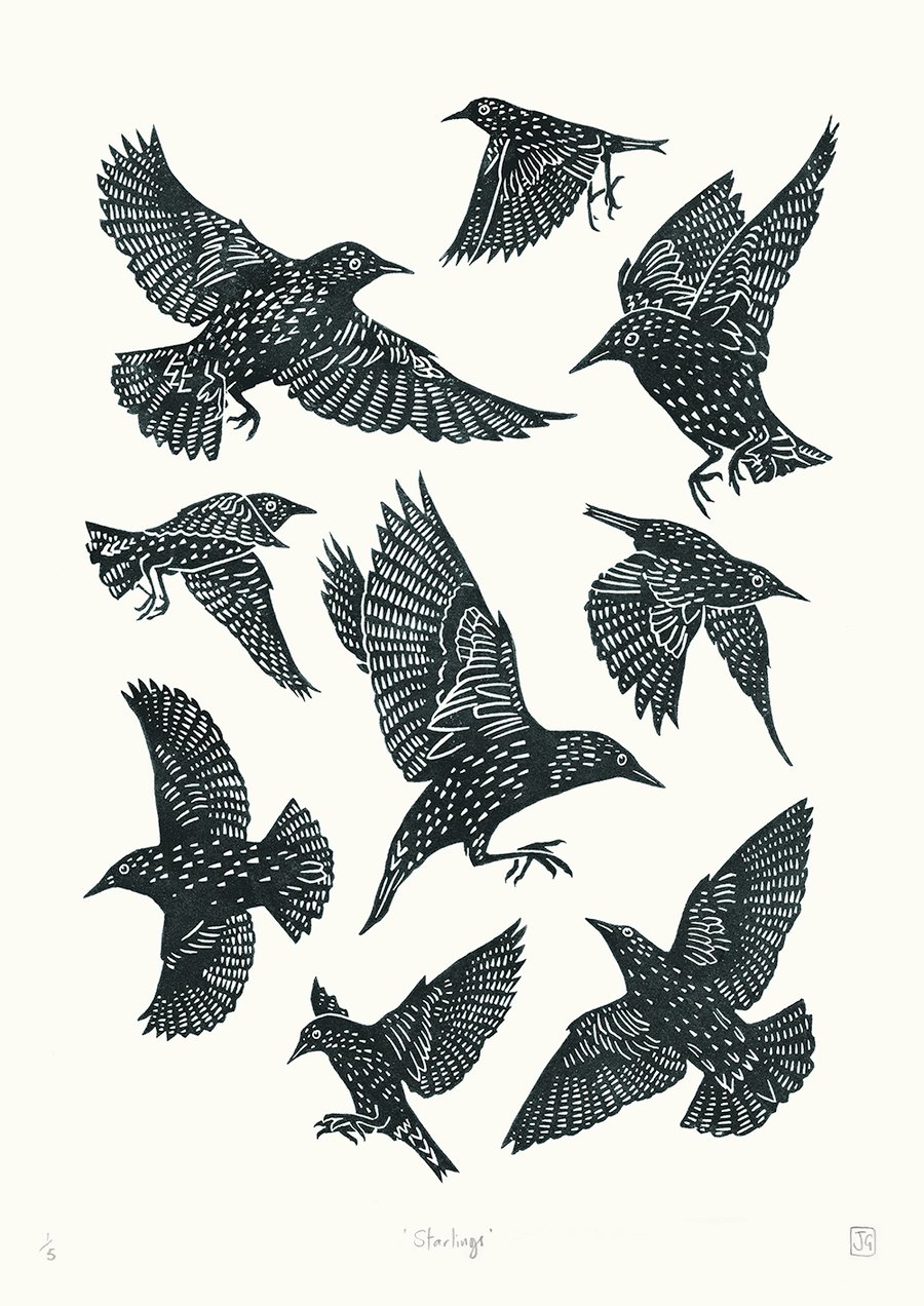 Starlings one-colour A2 linocut screen-print