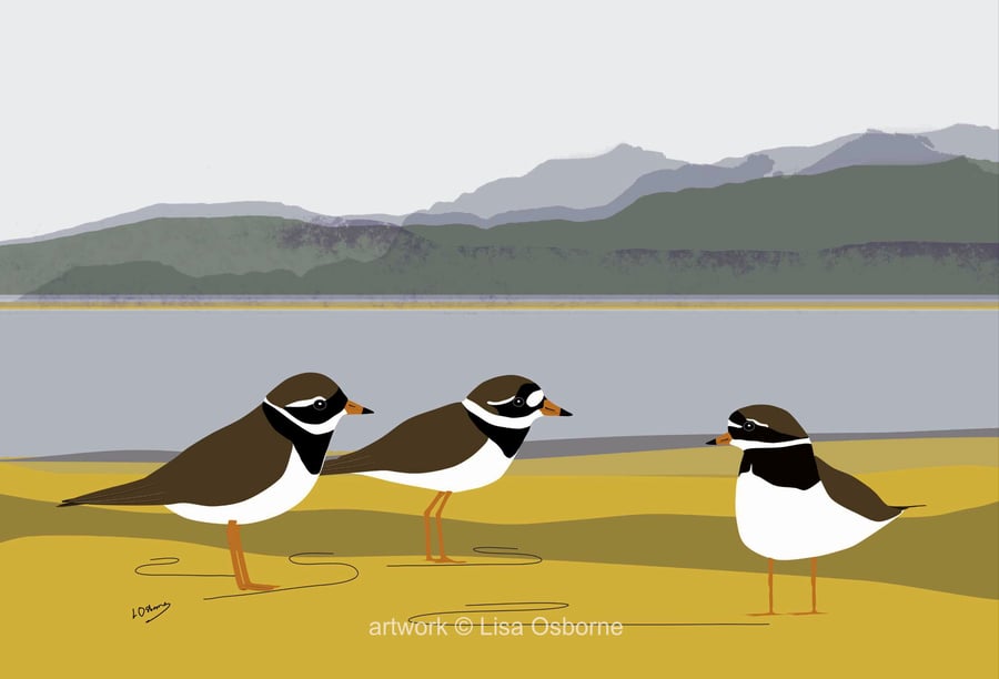 Ringed plovers - coastal birds - bird art print