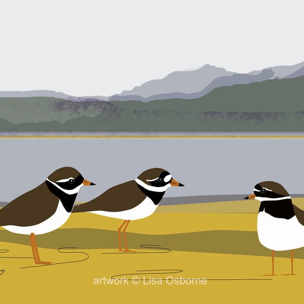 Ringed plovers - coastal birds - bird art print