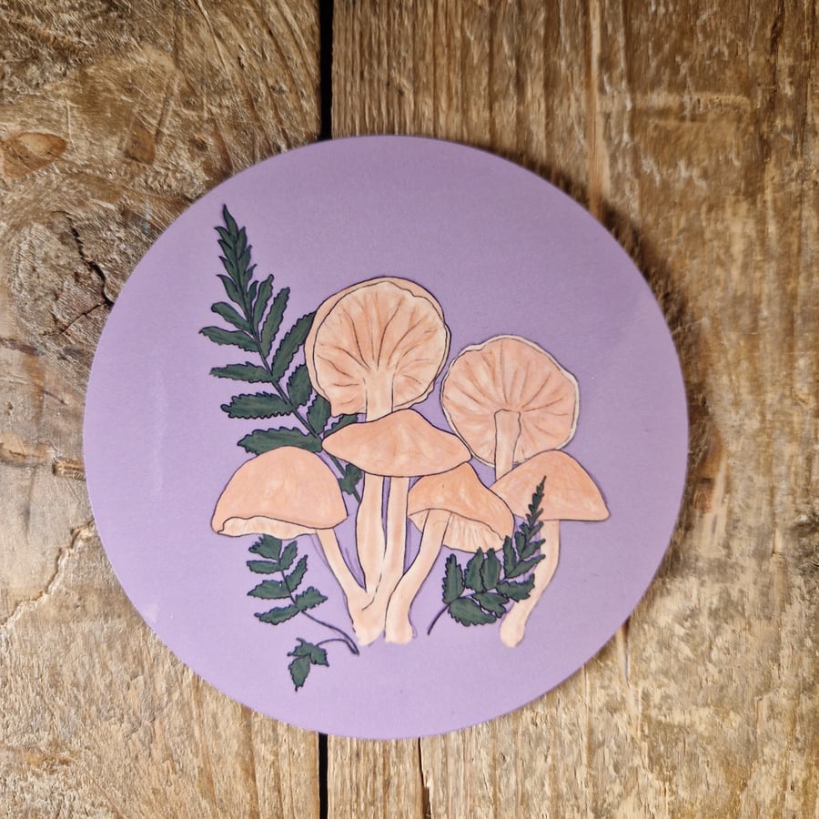 Gymnopilus Pentrans Fungi Coaster