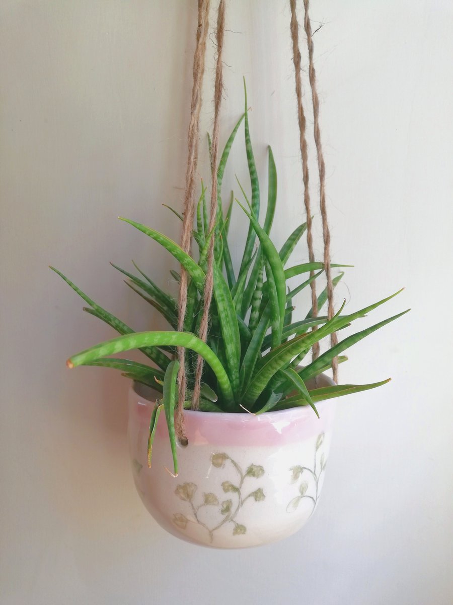 Ceramic hanging planter botanical drawings and pink rim or herb pot - gift