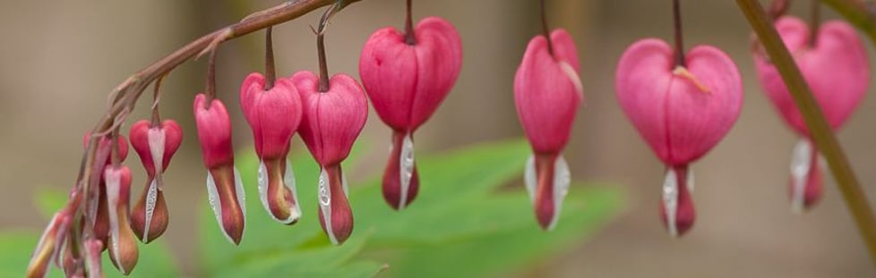 jewels by annie-jill