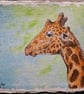 Giraffe Portrait Original Watercolour Painting