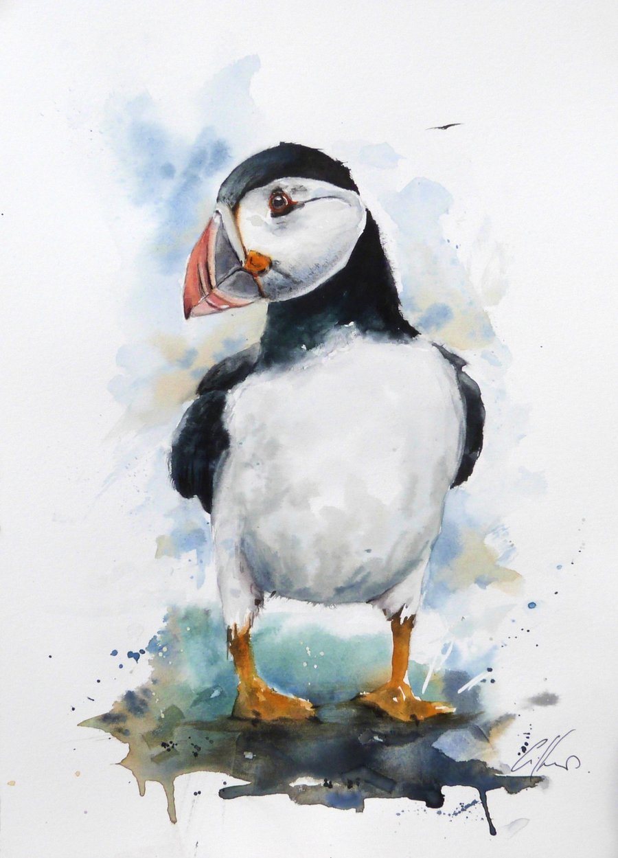 A Puffin, Original Watercolour Painting.