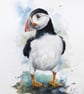 A Puffin, Original Watercolour Painting.